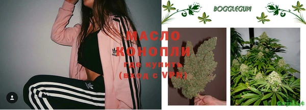 гидра Осинники
