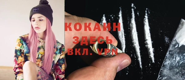 гидра Осинники