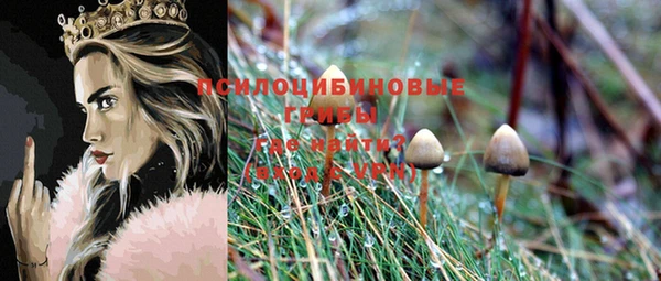 хмурый Осташков