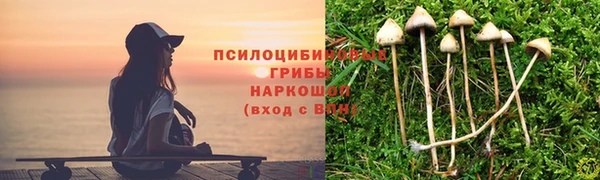 mix Ельня