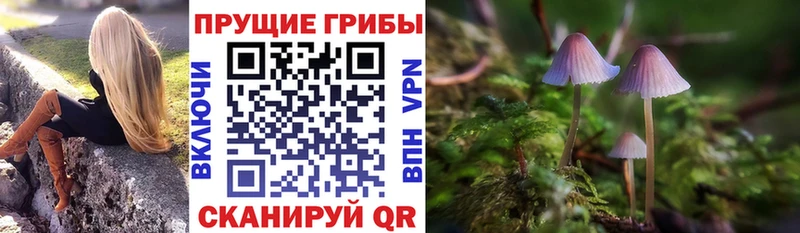 даркнет сайт  Бежецк  Галлюциногенные грибы MAGIC MUSHROOMS 