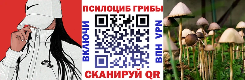 Галлюциногенные грибы GOLDEN TEACHER Бежецк
